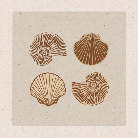 Shell Shapes - Art print - Square